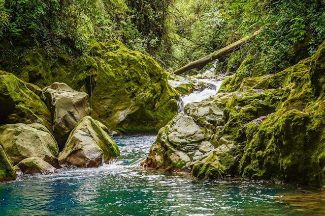 Costa Rica Rainforest