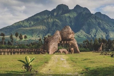 Rwanda Gorilla Safari