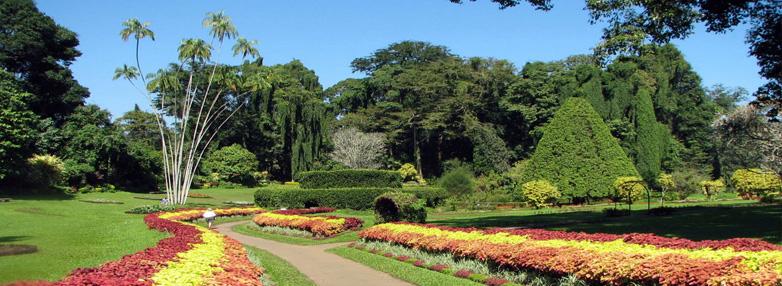 Srinagar tour packages from Hyderabad, Honeymoon tour packages Operator in Hyderabad, Best Srinagar tour packages for couples from Hyd, Tour operators for Jammu Kashmir